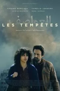Тихие бури (2024)